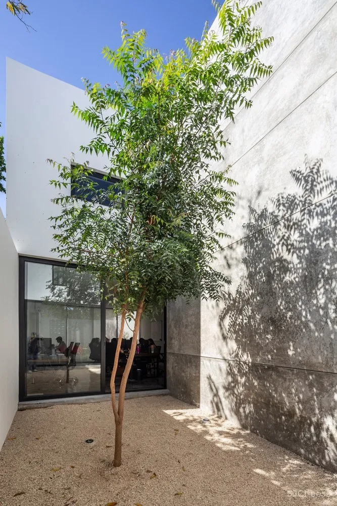 Studio 5.5 / P11 Arquitectos + Tao Arquitectura + Arq. Carlos Góngora