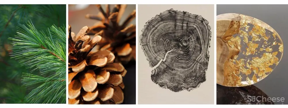 这样设计丨江南山水意境更有风韵