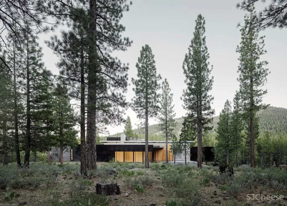 为什么越简单的设计丨越令人震撼