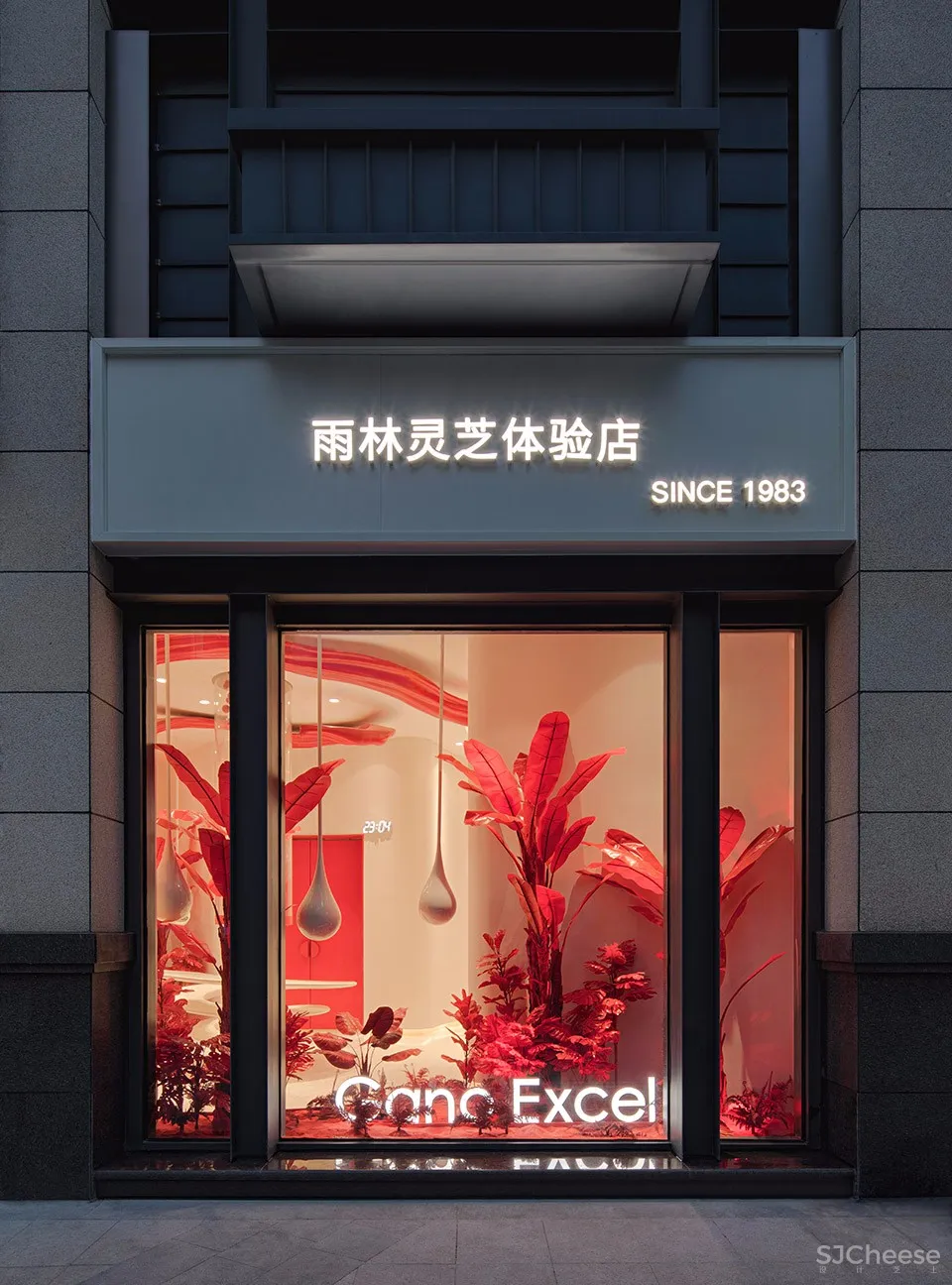 新作 | 香港映洋空间设计:深圳 雨林灵芝体验馆