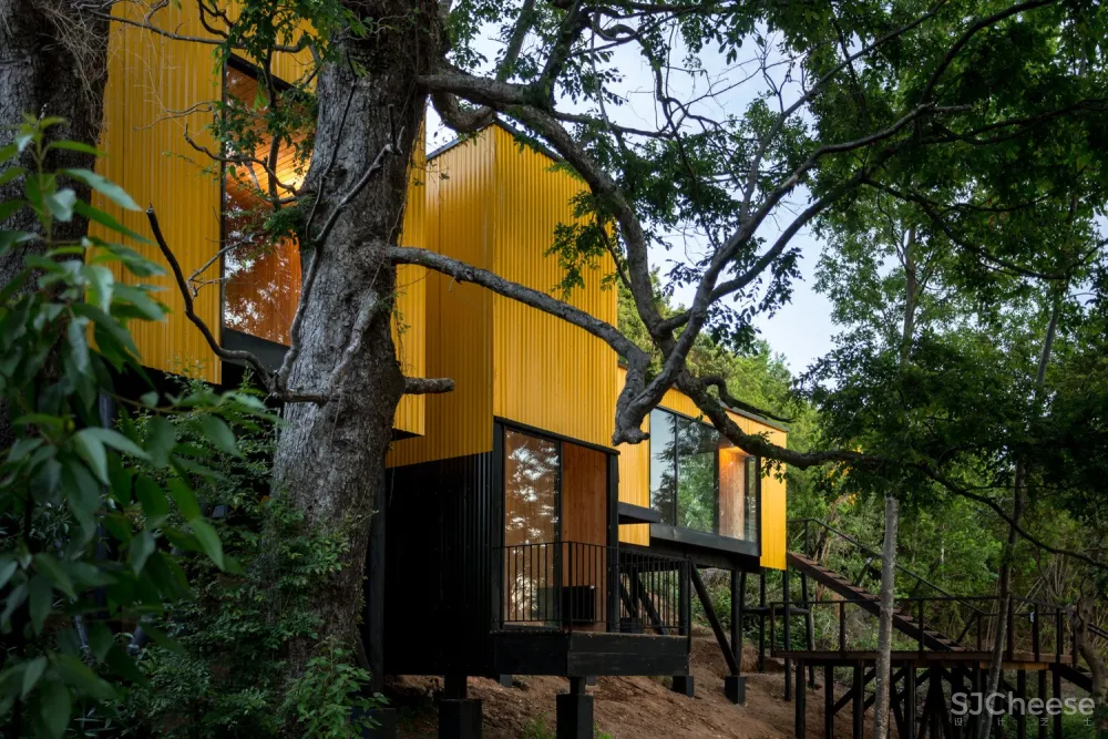 最新 | Alejandro Soffia:黄色屋子