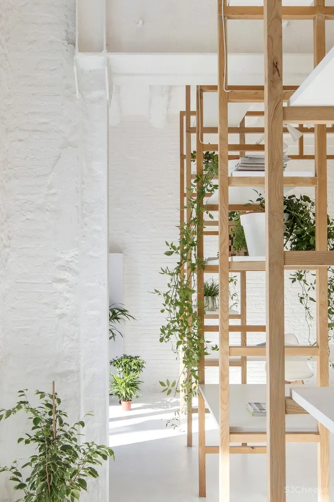 首发 | Roman Izquierdo Bouldstridge:清新明亮木格办公空间