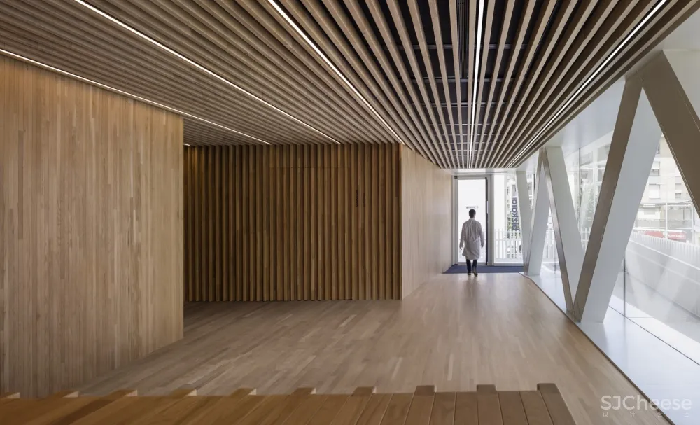 BioCruces 生物研究所总部/IDOM