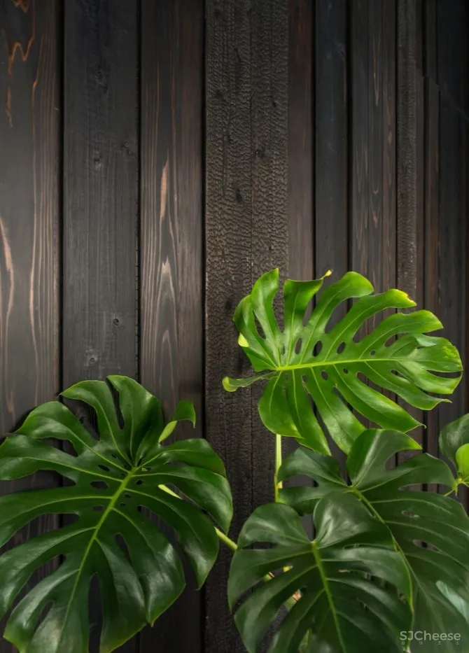 简约之家丨蕴藏着对设计与生活的尊重