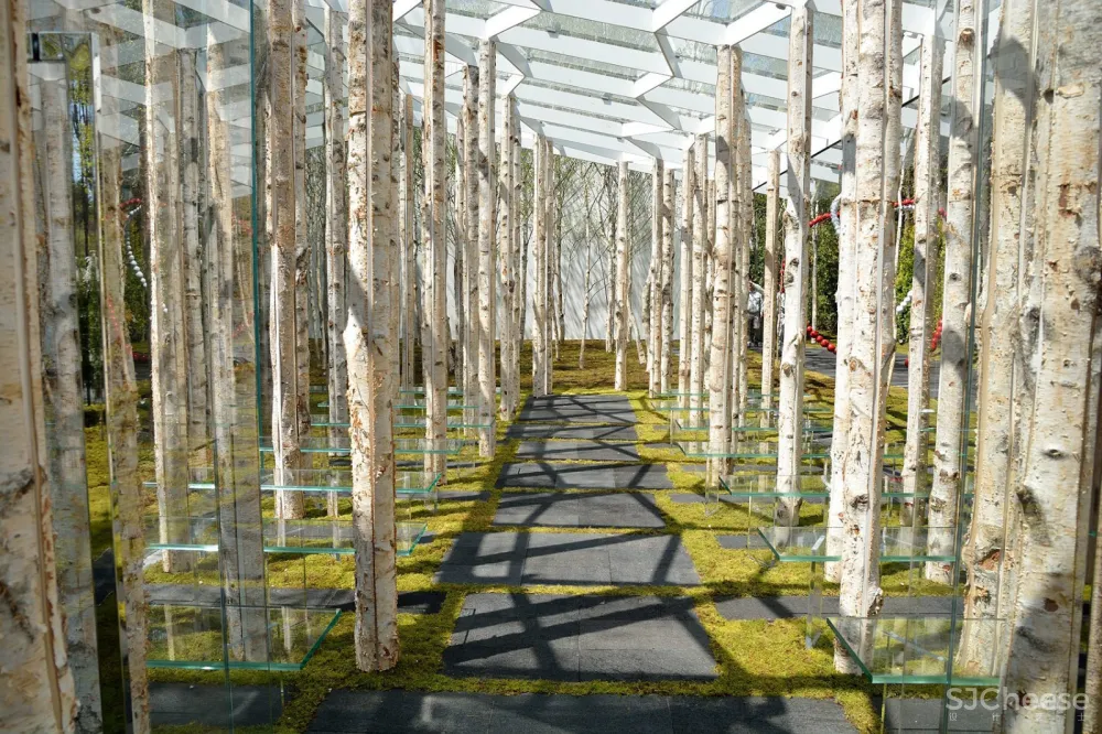 桦树苔藓教堂，日本 / 隈研吾建筑都市设计事务所