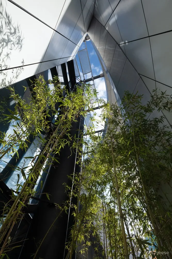 新作 | Revery Architecture:月亮门主题 香港戏曲中心