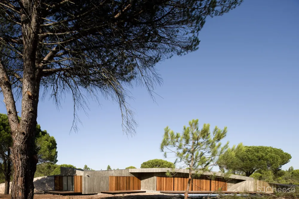 Pereira Miguel Arquitectos | 沙丘之家