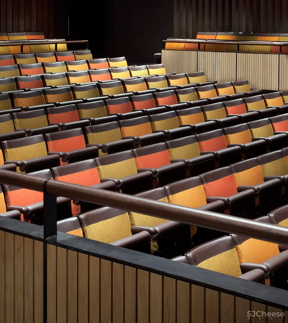 佩斯学校Peter Hall表演艺术中心,英国剑桥 / Haworth Tompkins