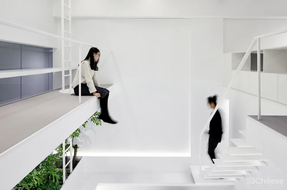 每个人的花园 – 生态办公室改造，上海 /目心设计研究室