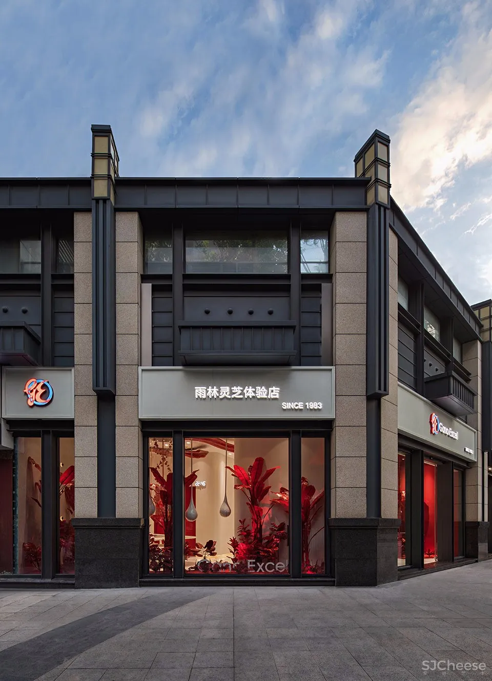 新作 | 香港映洋空间设计:深圳 雨林灵芝体验馆