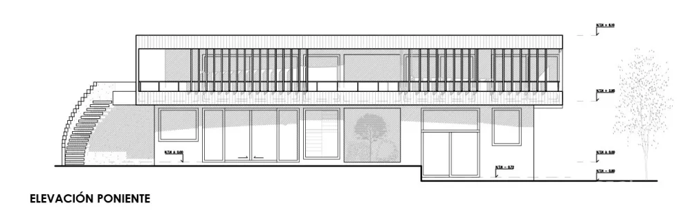 Biourban Arquitectos:橡木色住宅 H.D. House