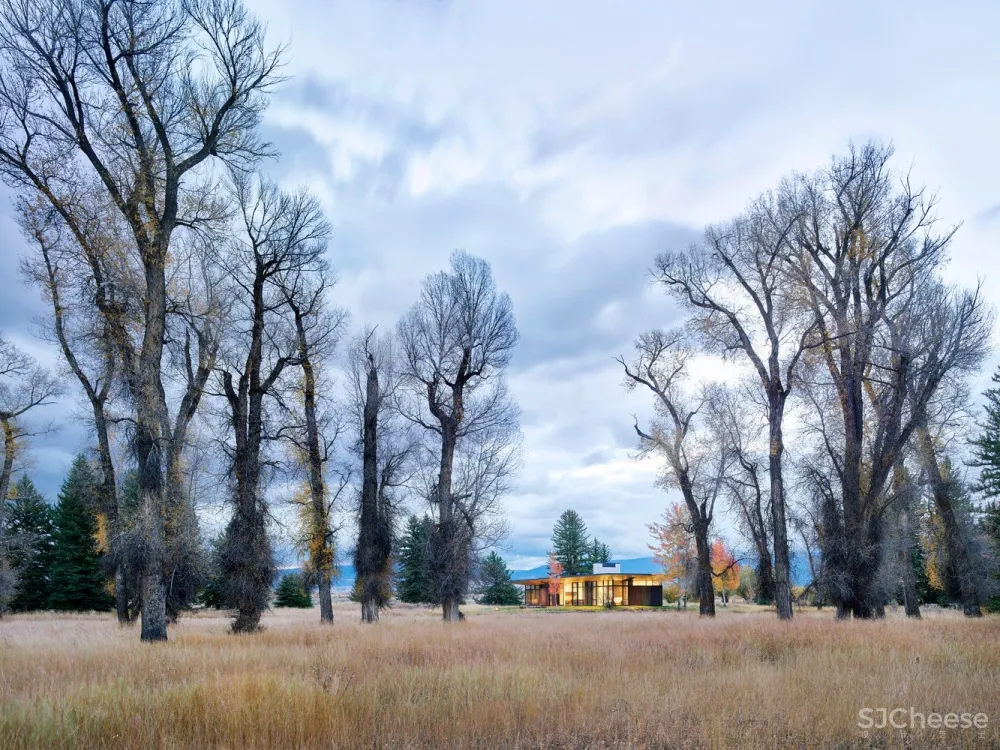 Queen’s Lane Pavilion / Carney Logan Burke Architects