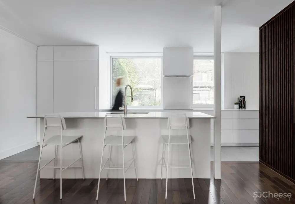 APPAREIL architecture:加拿大白色玻璃住宅 Waterloo Residence