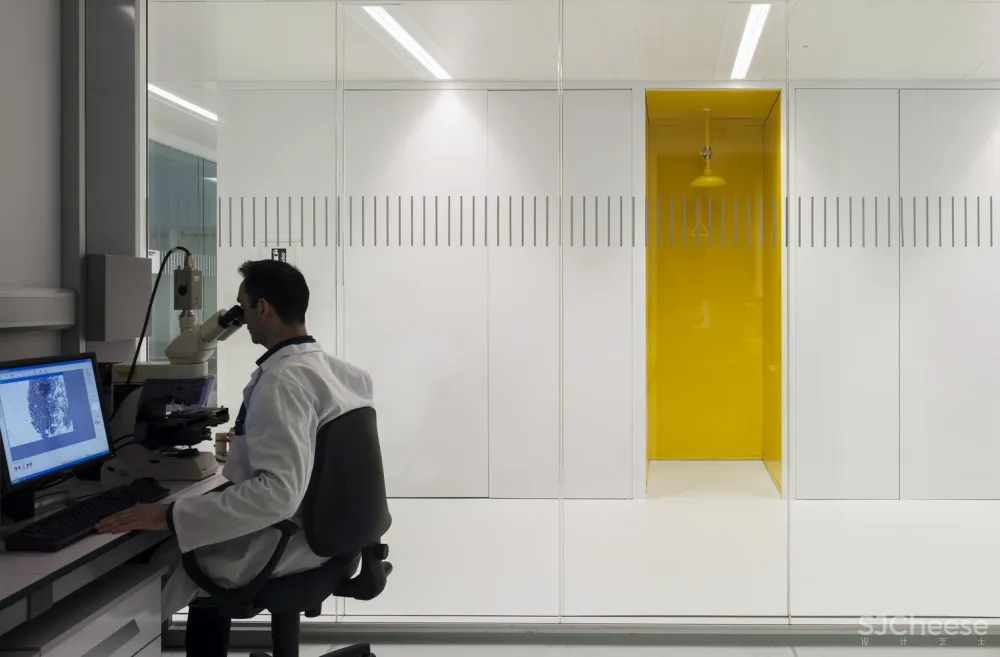 BioCruces 生物研究所总部/IDOM