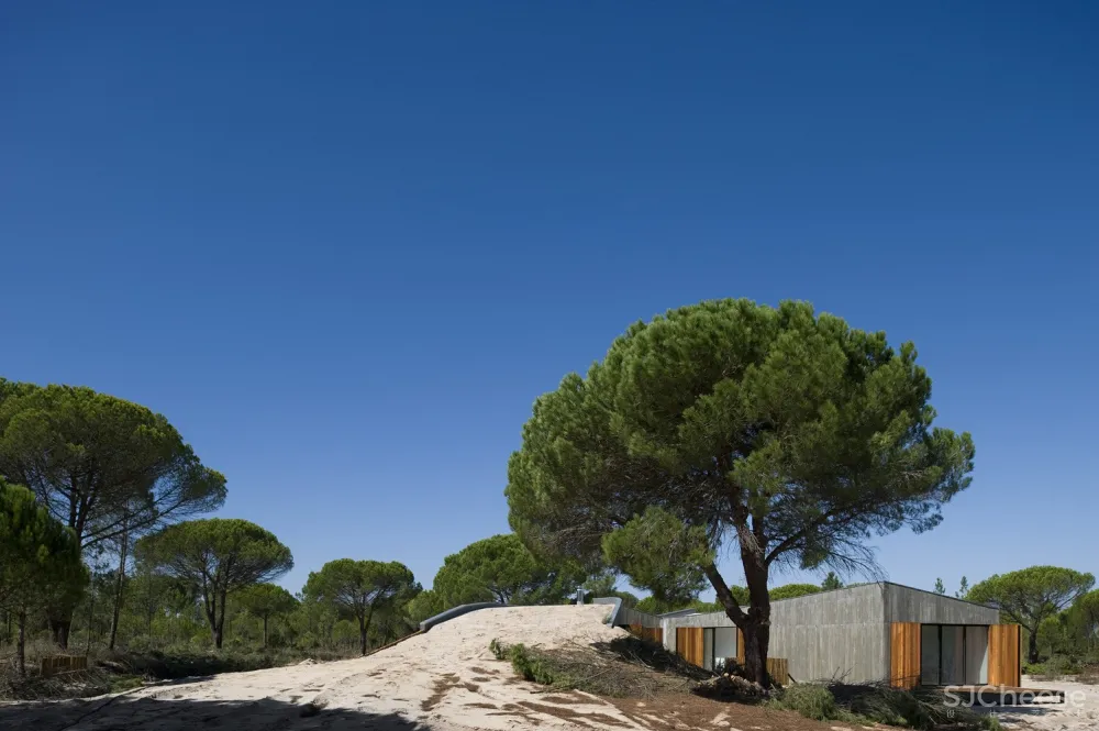 Pereira Miguel Arquitectos | 沙丘之家