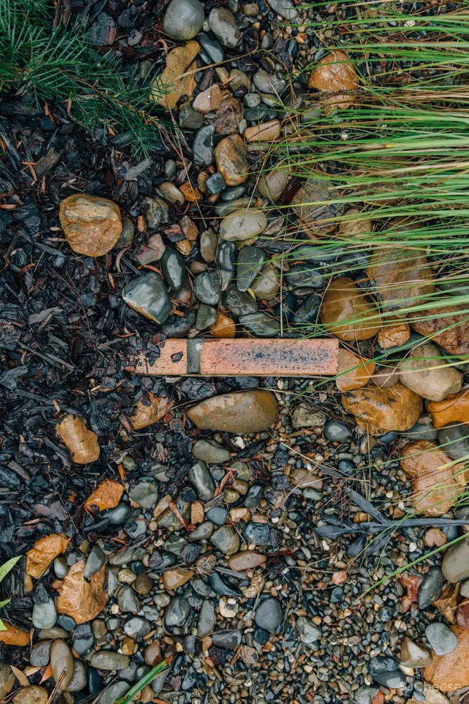 耶龙加住宅,引入大量日光的老宅改造 / Tim Bennetton Architects