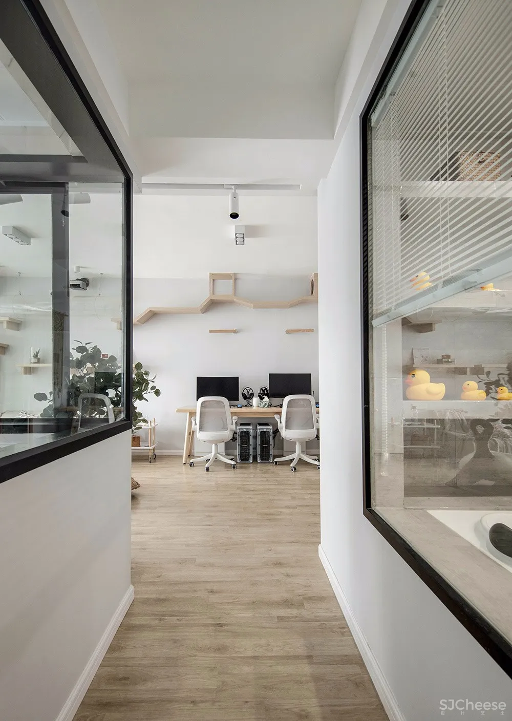 两个日系女孩在60㎡小屋丨收纳进了满房杂物,还有4只猫咪主子