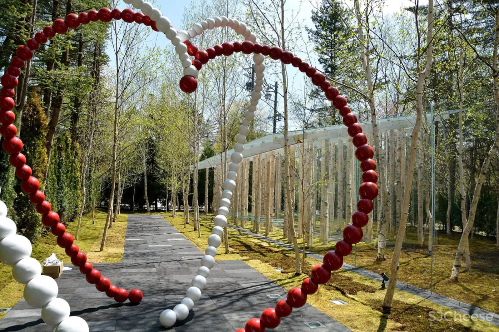 桦树苔藓教堂，日本 / 隈研吾建筑都市设计事务所