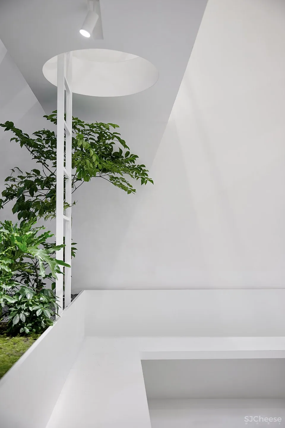 每个人的花园 – 生态办公室改造，上海 /目心设计研究室