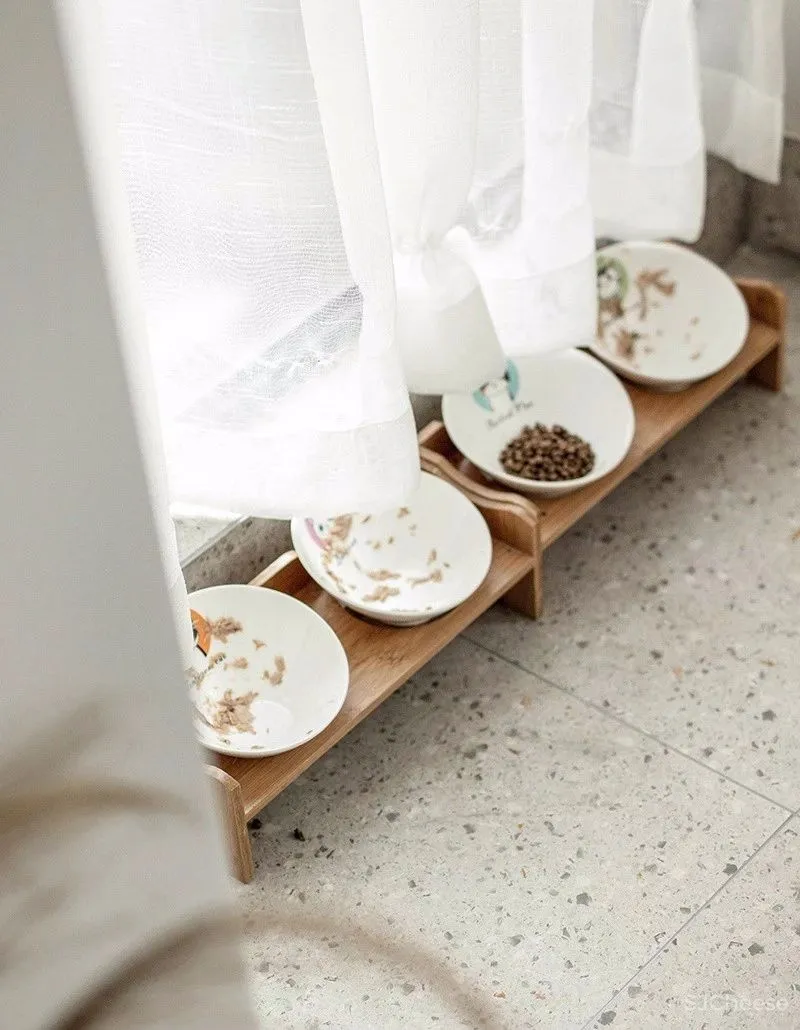 两个日系女孩在60㎡小屋丨收纳进了满房杂物,还有4只猫咪主子