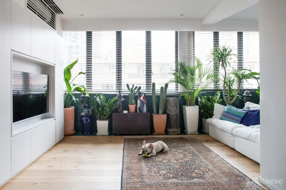 香港鲗鱼涌住宅 / 林子設計