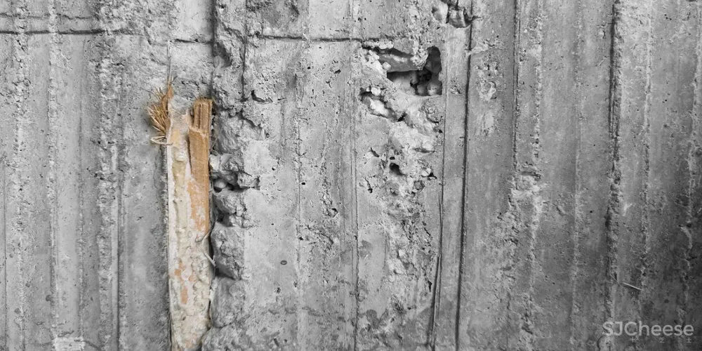 盆栽屋，吉隆坡 / Formzero