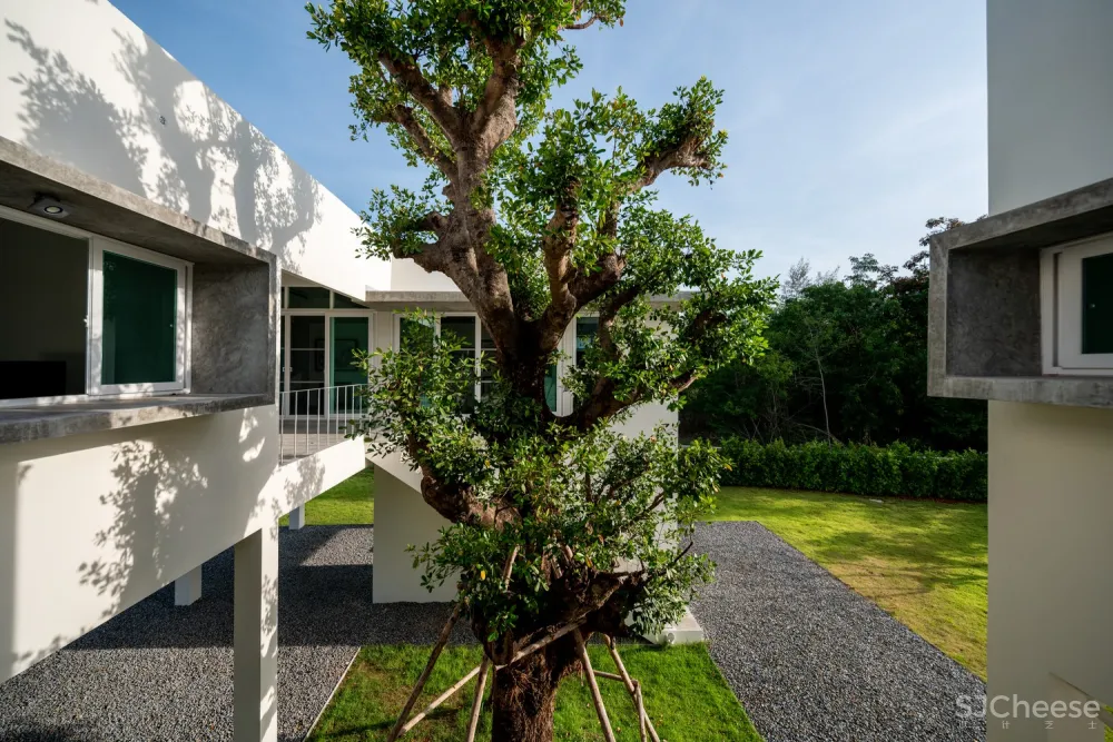 最新 | Research Studio Panin:泰国DN住宅