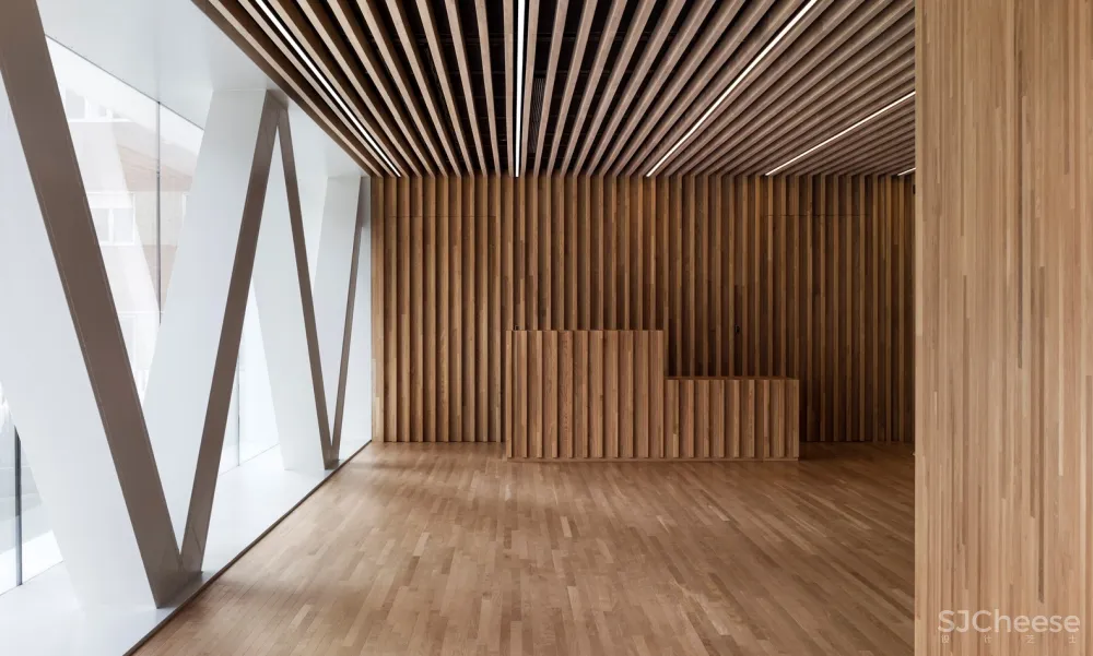 BioCruces 生物研究所总部/IDOM