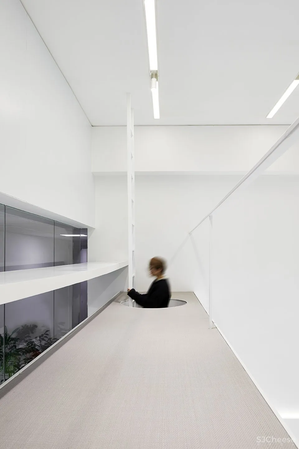 每个人的花园 – 生态办公室改造，上海 /目心设计研究室