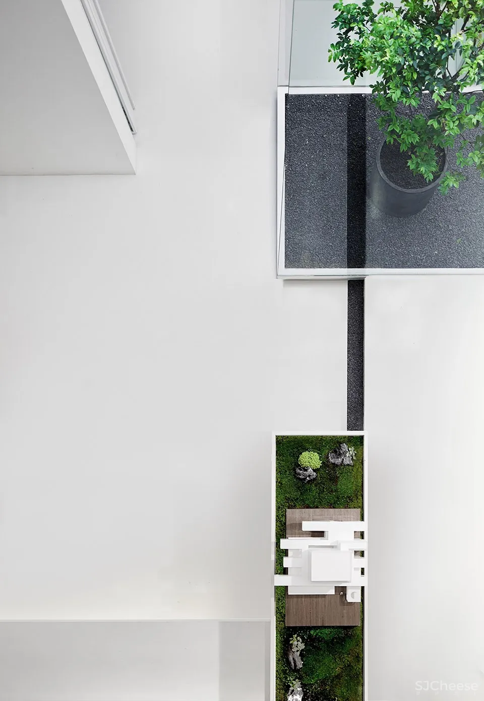 每个人的花园 – 生态办公室改造，上海 /目心设计研究室