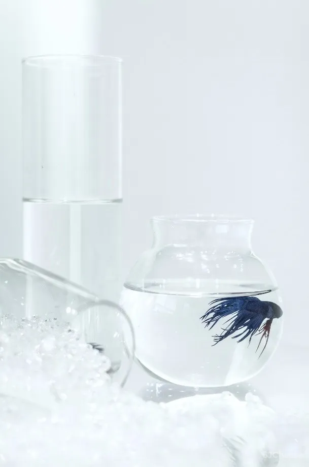 这个蓝色的咖啡馆丨属于大海也属于天空