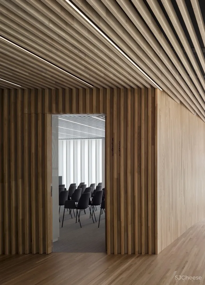 BioCruces 生物研究所总部/IDOM