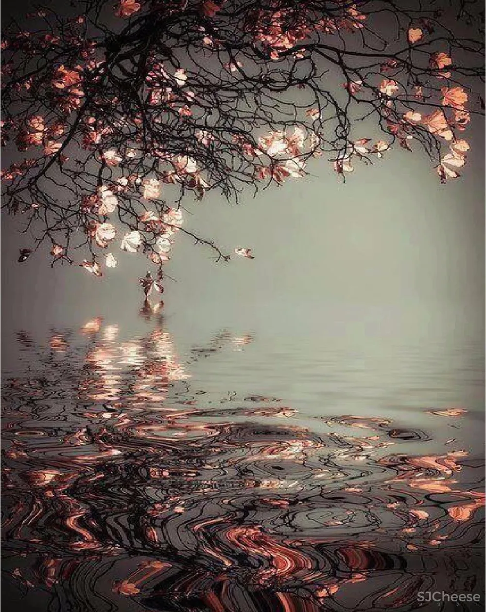 【布道设计】雲起 | 柏雲熙精品酒店精品酒店