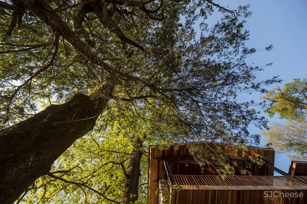 松阳原舍 · 揽树山房 / gad · line+ studio