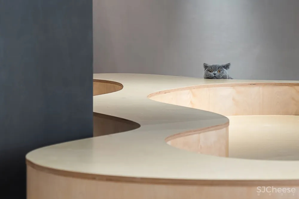 就是这样的喵 —— E Studio