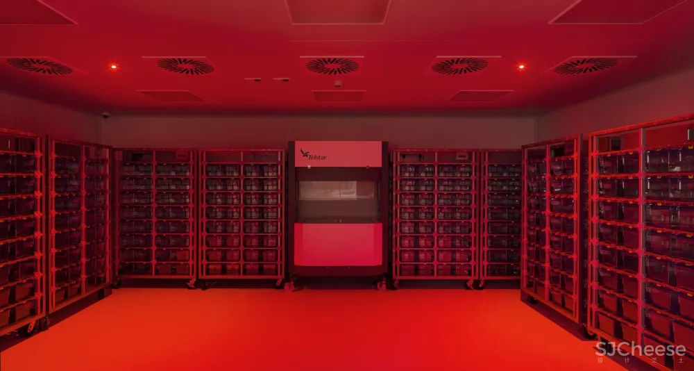 BioCruces 生物研究所总部/IDOM