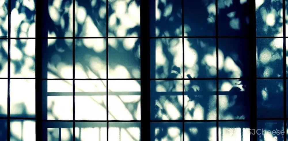 集美组丨生活,是回归化繁为简的纯粹!