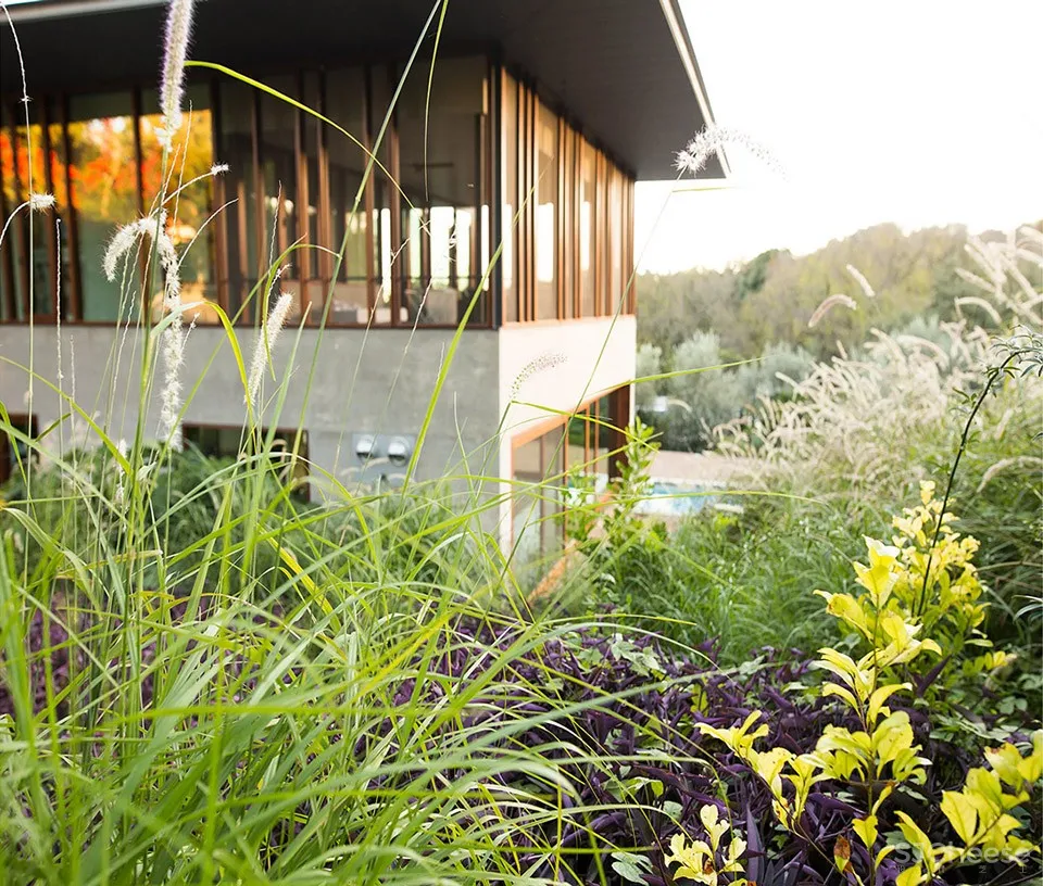 2018 ASLA住宅设计类杰出奖: Balcones住宅,美国奥斯汀 / Word + Carr Design Group