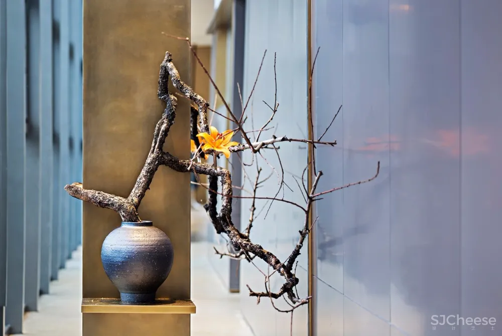 新作 | 光、韵律、艺术,纯粹灵动的游园梦境