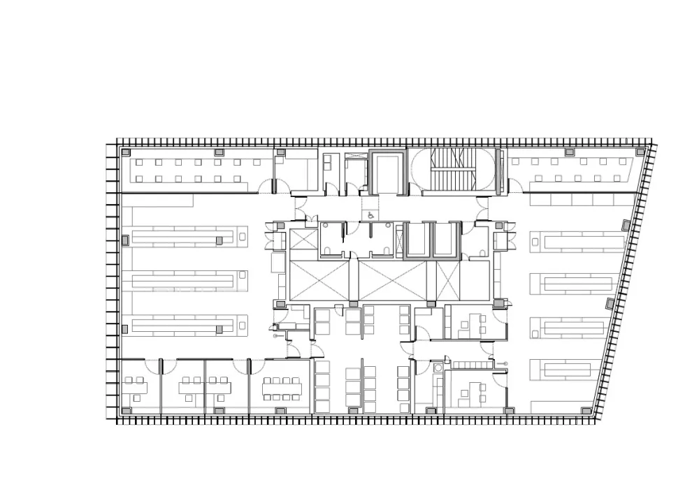 BioCruces 生物研究所总部/IDOM