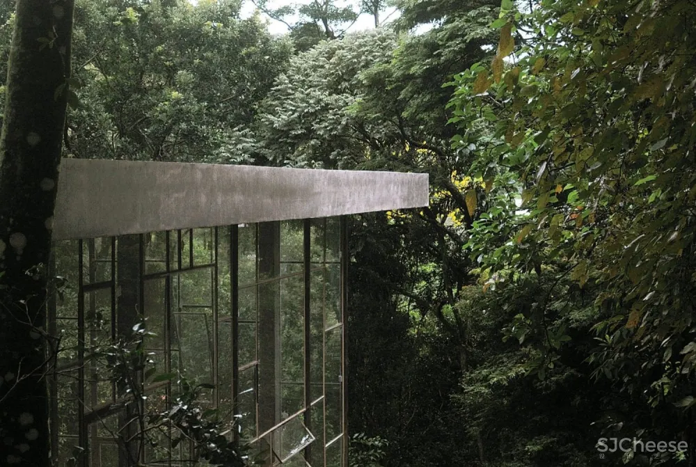 首发 | ATELIER BRANCO:隐匿在绿色森林之中的巴西图书馆