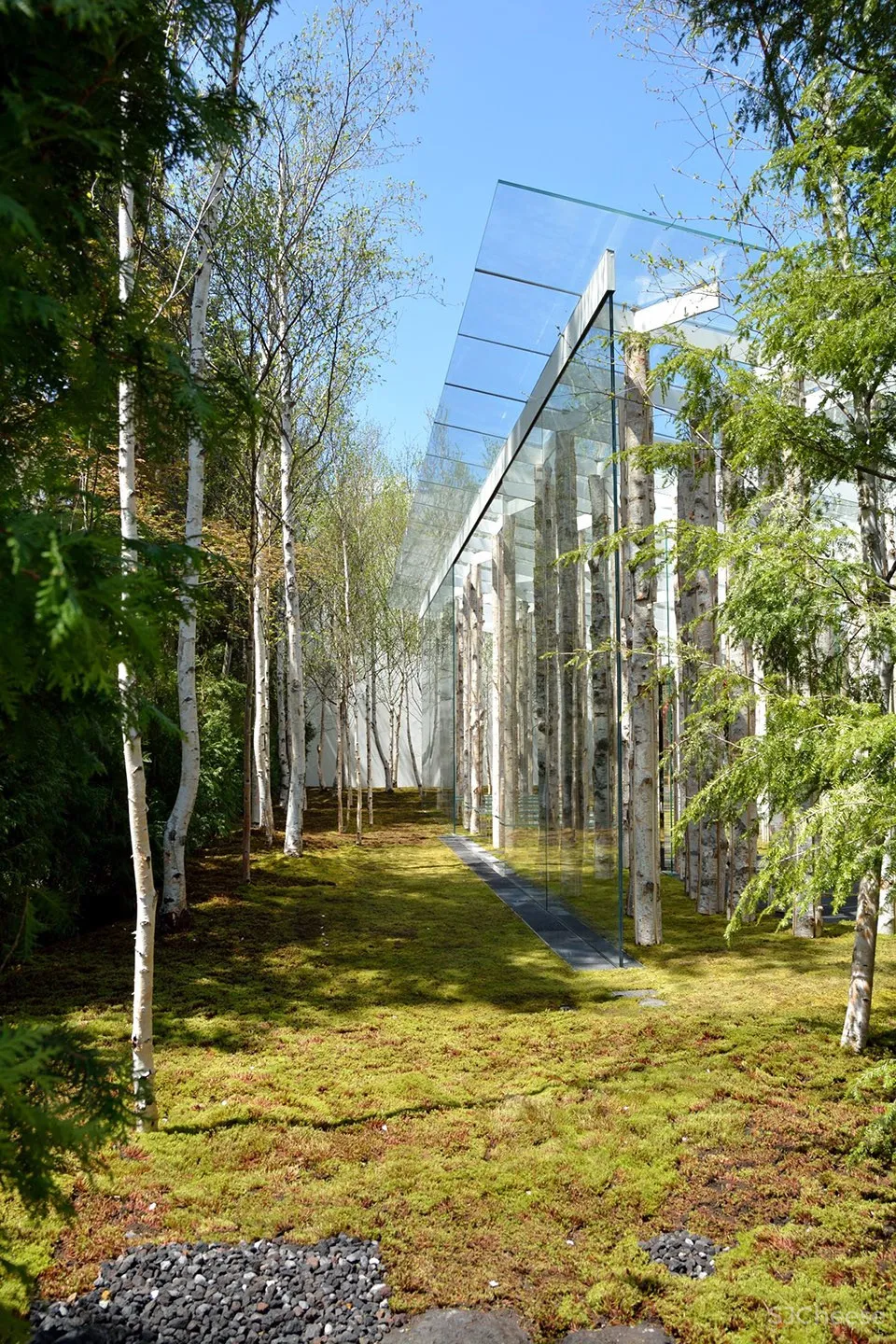 桦树苔藓教堂，日本 / 隈研吾建筑都市设计事务所