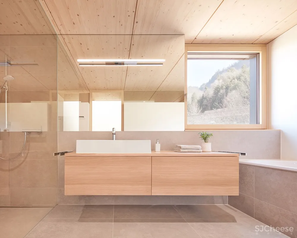 山坡上的半独立式住宅,奥地利 / MWArchitekten