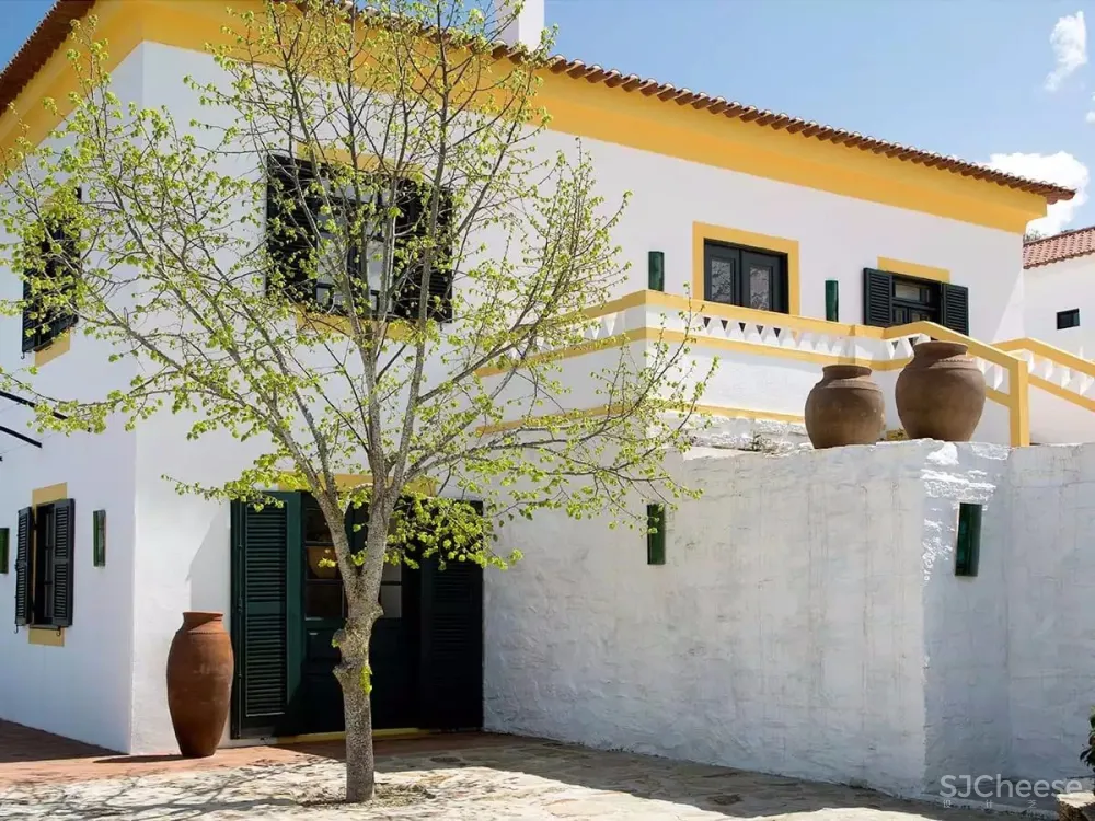 设计大师奇妙的色彩构成丨惊艳的设计全在于此