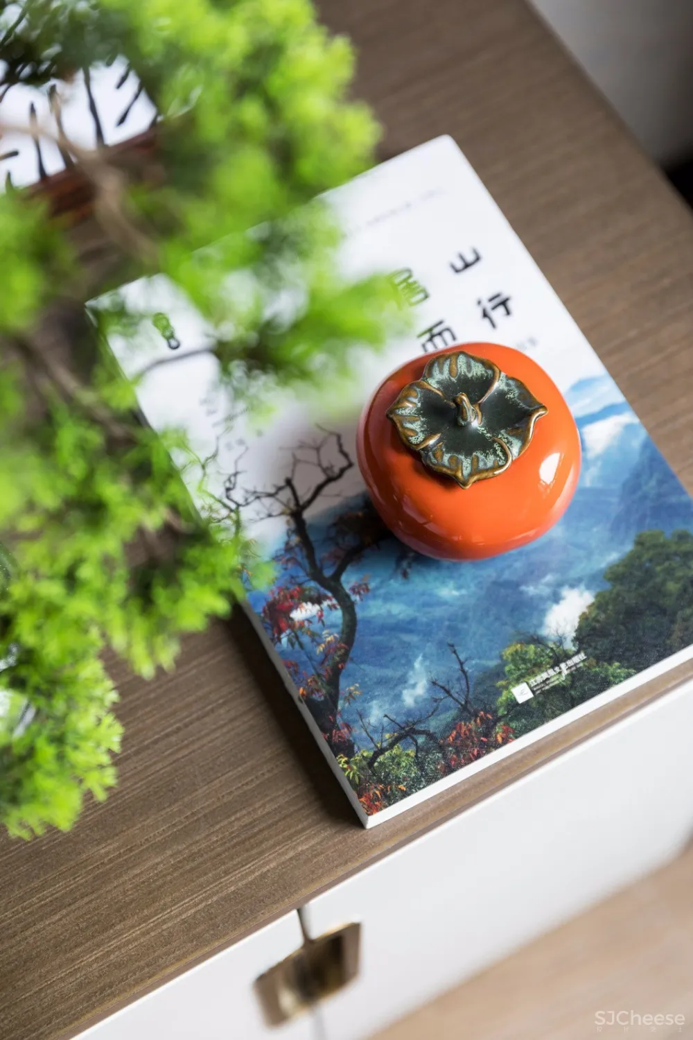 格调都市丨为时尚注入一份静雅