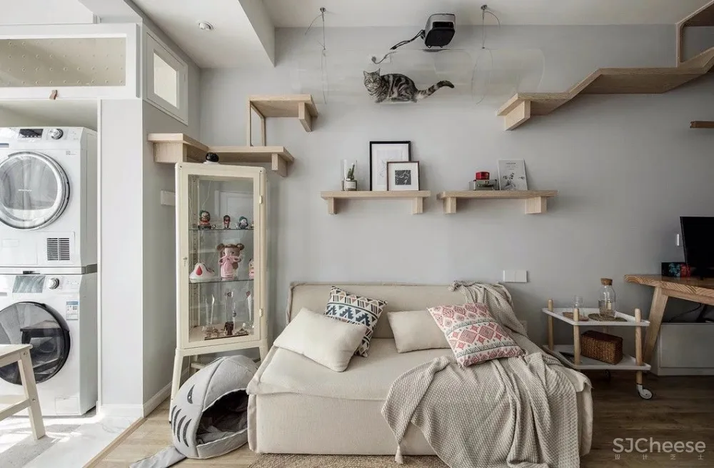 两个日系女孩在60㎡小屋丨收纳进了满房杂物,还有4只猫咪主子