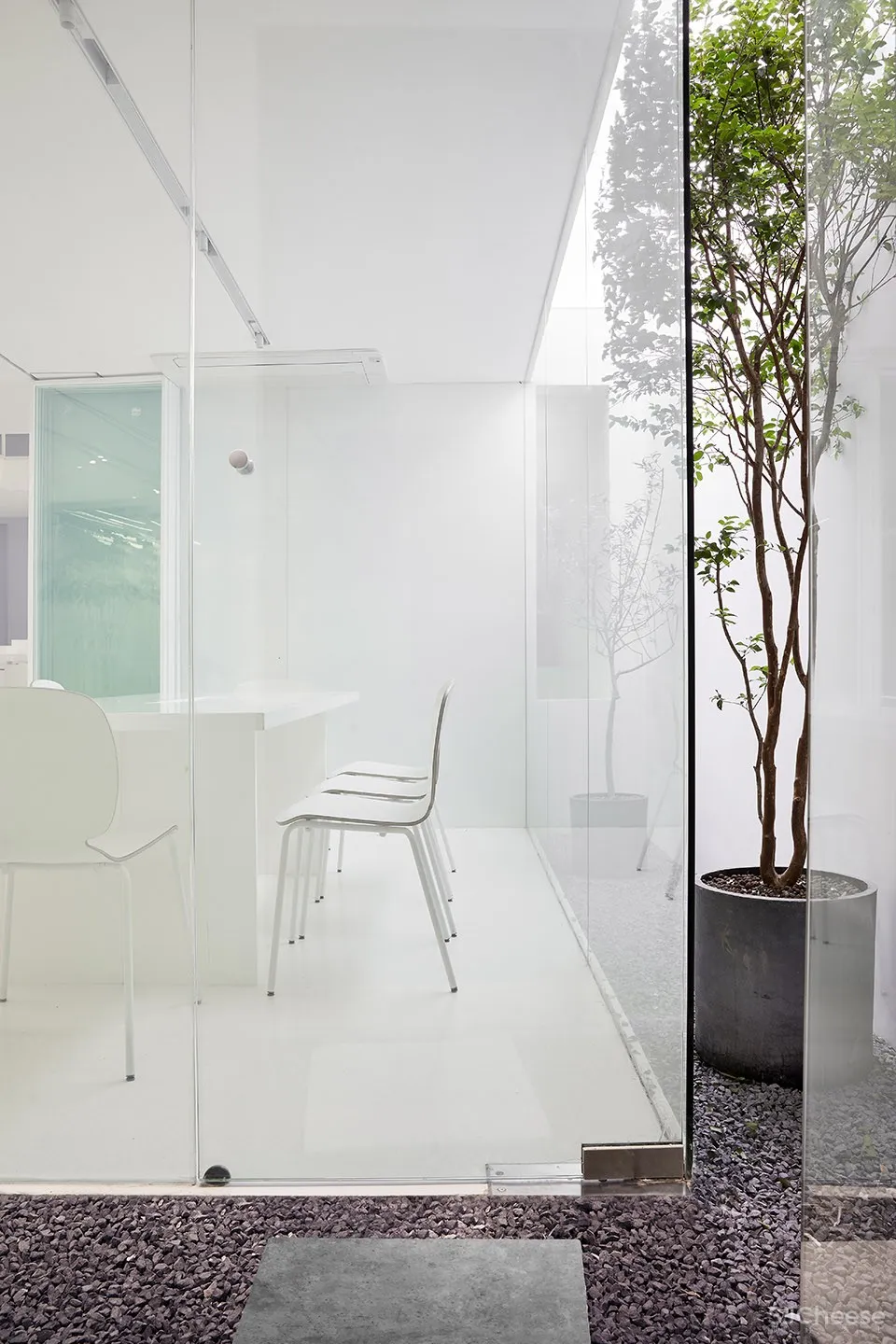 每个人的花园 – 生态办公室改造，上海 /目心设计研究室