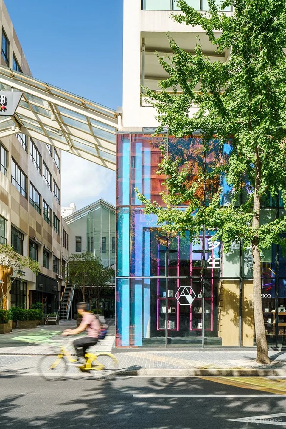 OceanSpot联合零售店,上海 / STUDIO DOHO