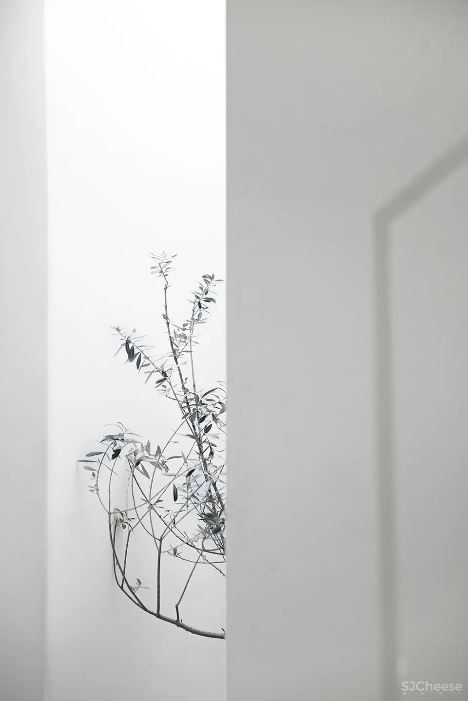 每个人的花园 – 生态办公室改造，上海 /目心设计研究室