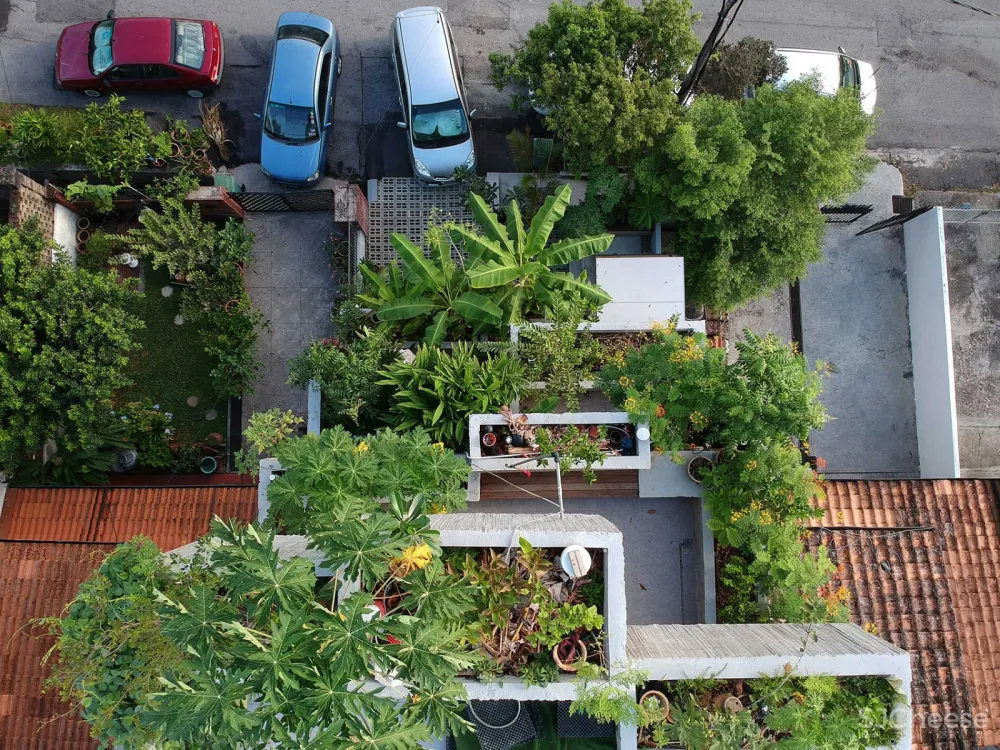 盆栽屋，吉隆坡 / Formzero